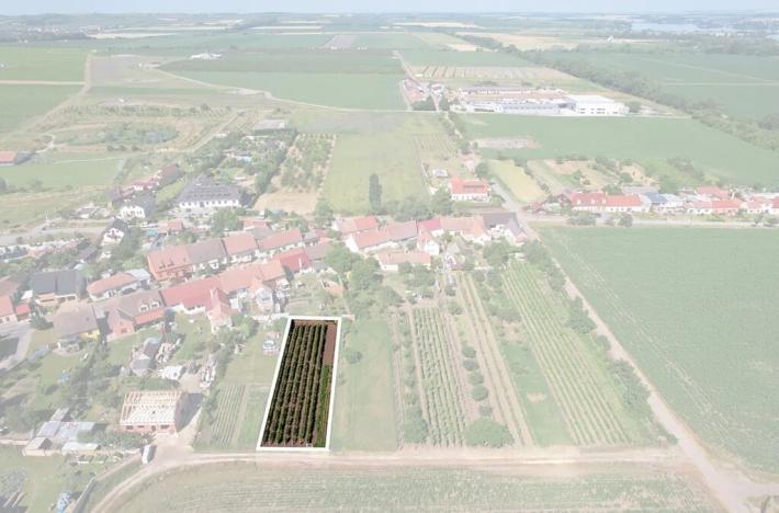 Prodej pozemku pro bydlení, Horní Věstonice, 940 m2