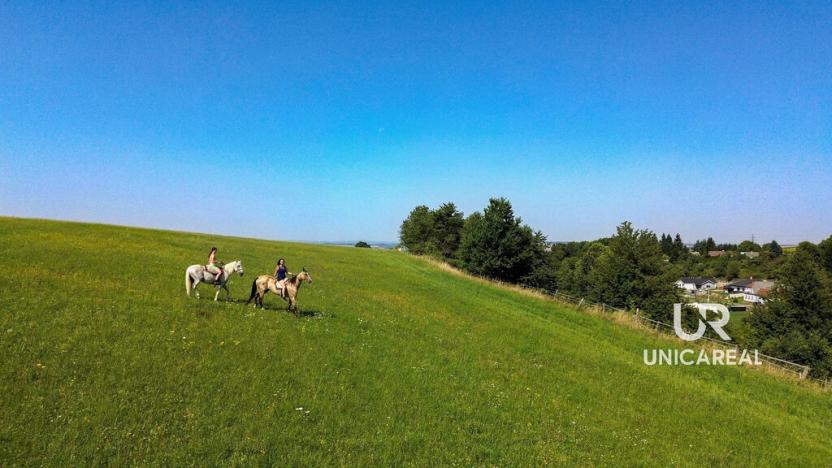 Prodej rodinného domu, Kamenná Horka, 273 m2