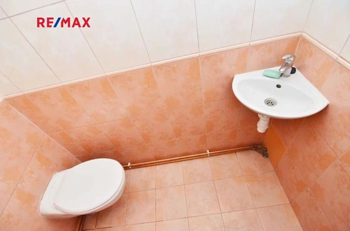 Pronájem obchodního prostoru, Praha - Bubeneč, Veletržní, 60 m2