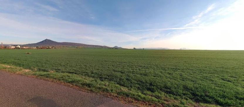 Prodej pole, Třebenice, 4348 m2