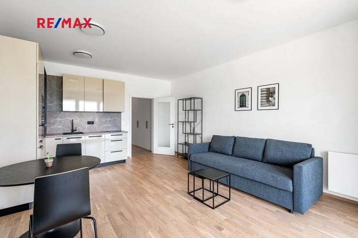 Pronájem bytu 1+kk, Praha - Karlín, Breitfeldova, 42 m2