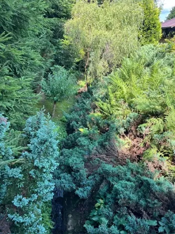 Prodej chalupy, Dlouhý Most, 60 m2