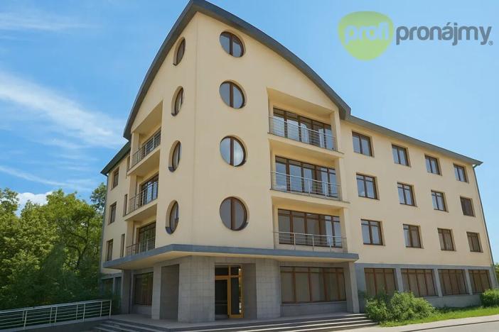 Pronájem skladu, Vyškov, Palánek, 460 m2