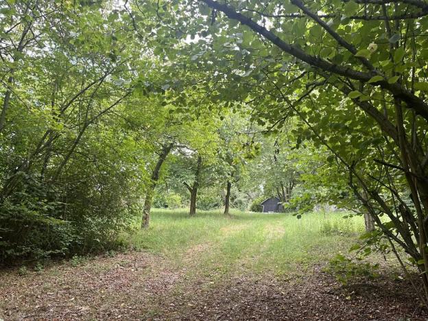 Pronájem sadu/vinice, Praha - Točná, Ke starému hřišti, 3842 m2