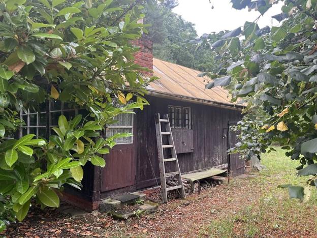 Pronájem sadu/vinice, Praha - Točná, Ke starému hřišti, 3842 m2