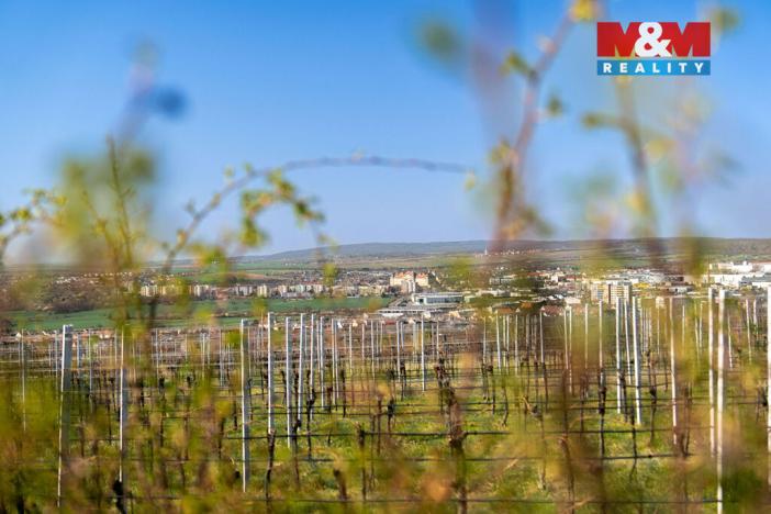 Prodej zahrady, Dobšice, 2462 m2