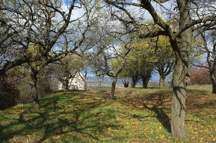 Prodej chaty, Židlochovice, 27 m2