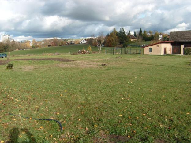 Prodej pozemku, Borovnice - Přestavlky, 3744 m2