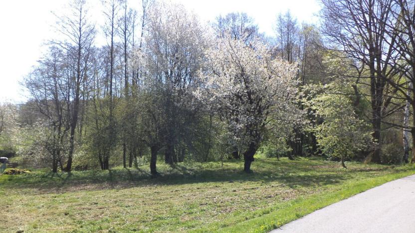 Prodej pozemku, Kamenná - Kondrač, 2542 m2