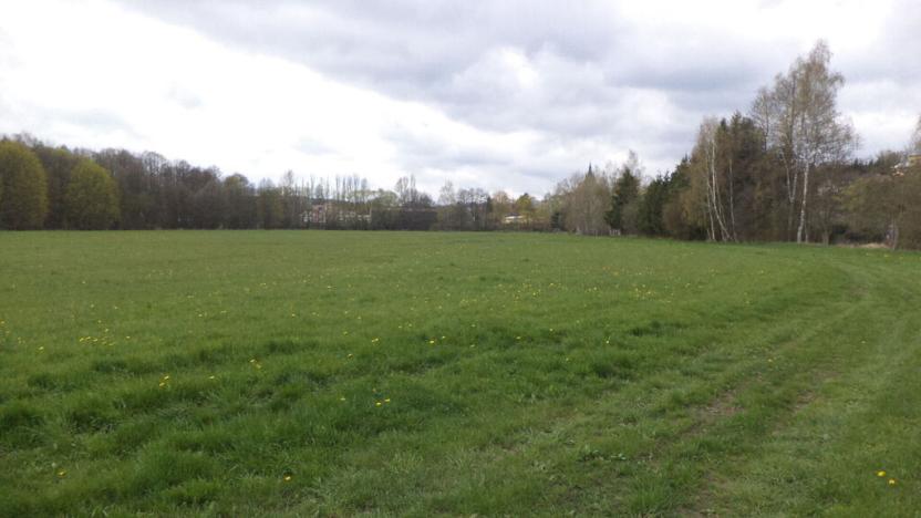 Prodej pole, Tachov, 23048 m2