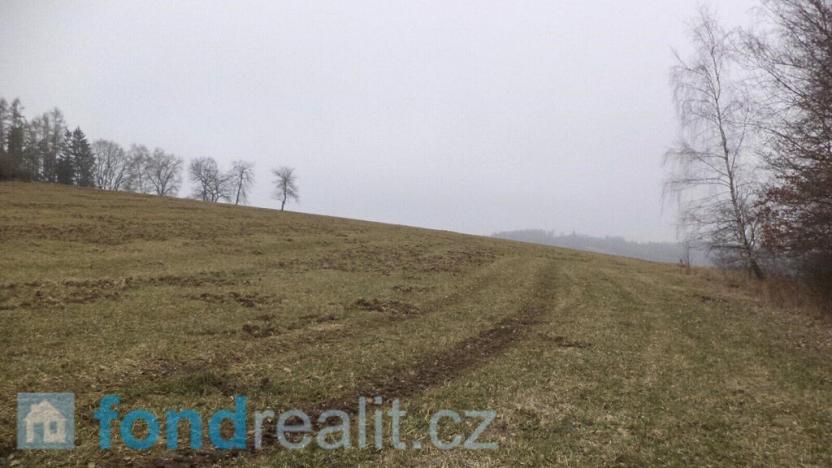 Prodej pole, Zvěstov, 51947 m2