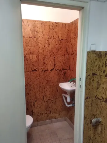 Pronájem skladu, Praha - Střešovice, Za Pohořelcem, 55 m2