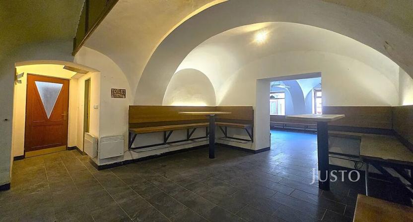 Prodej vícegeneračního domu, Písek, V Koutě, 786 m2