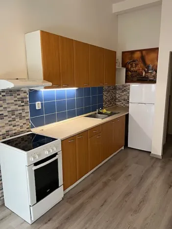Pronájem bytu 2+1, Praha - Vinohrady, Mrštíkova, 63 m2