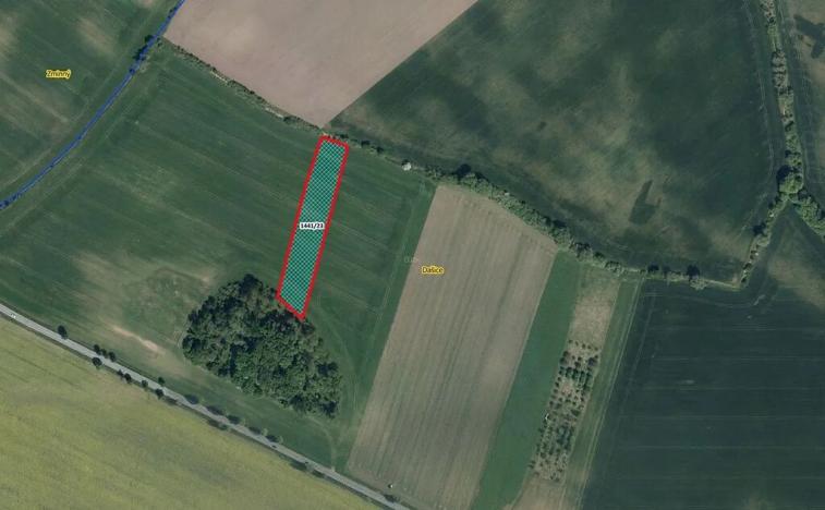 Prodej pole, Dašice, 5921 m2