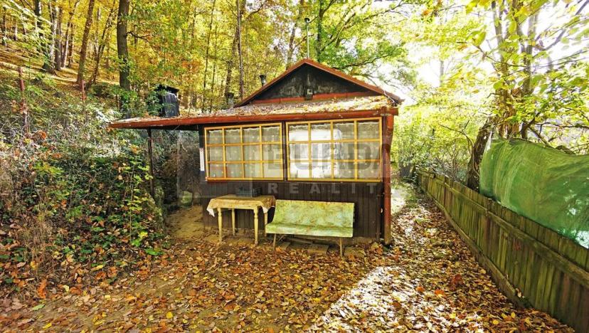 Prodej chaty, Kaliště, 30 m2