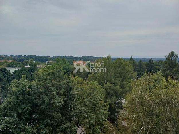 Prodej bytu 1+1, Orlová, Kpt. Jaroše, 38 m2