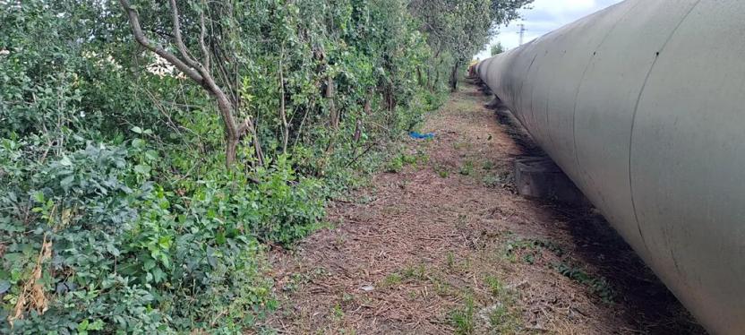 Prodej komerčního pozemku, Měšice, 2035 m2