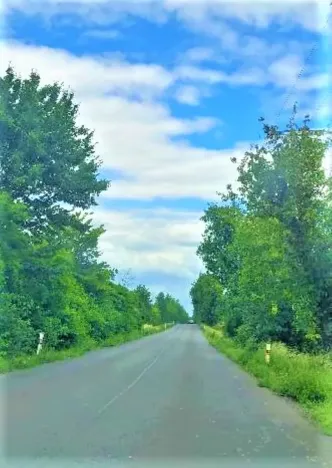 Prodej komerčního pozemku, Měšice, 2035 m2