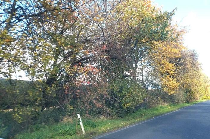 Prodej komerčního pozemku, Měšice, 2035 m2