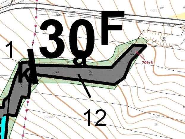 Dražba lesa, Osek, 301 m2