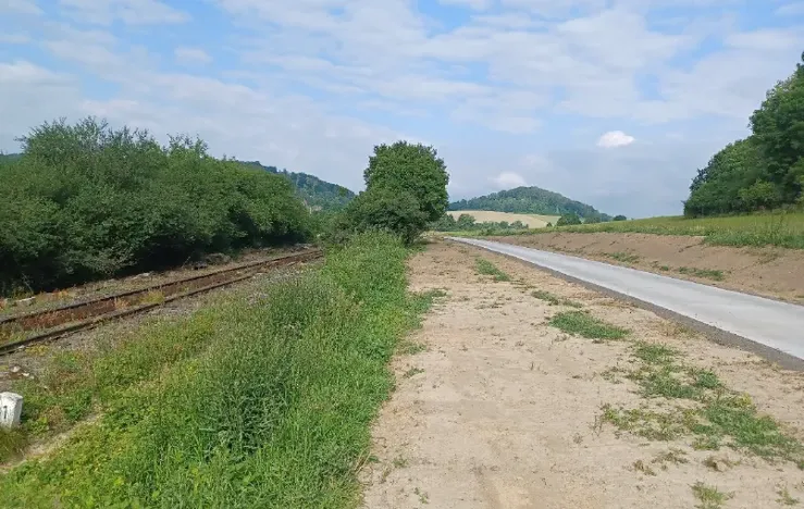 Dražba lesa, Česká Kamenice, 14221 m2