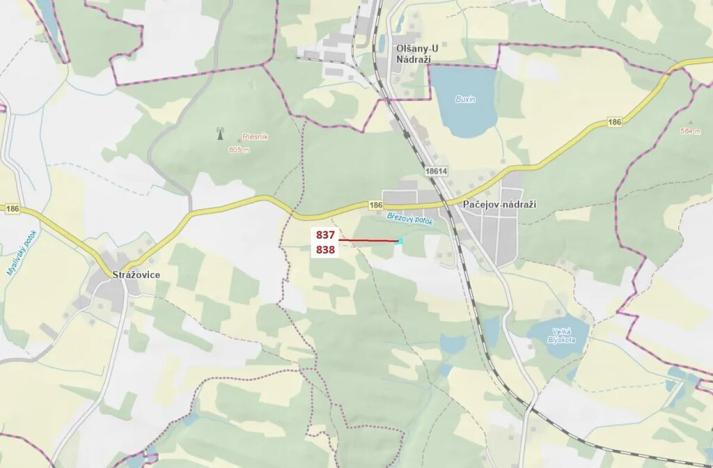 Dražba lesa, Pačejov, 999 m2