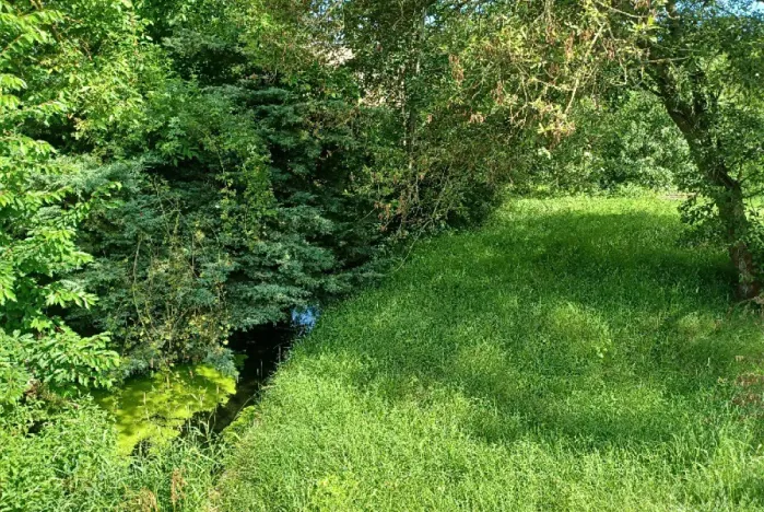 Dražba pozemku, Tuhaň, 11174 m2