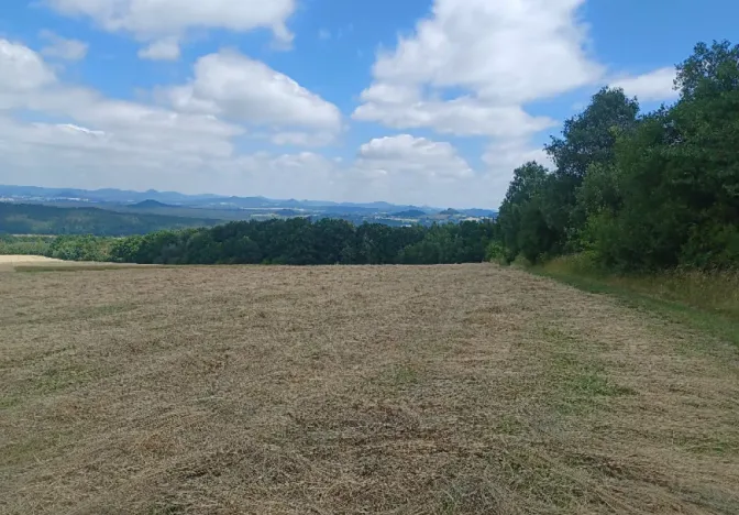 Dražba pozemku, Chlum, 12440 m2