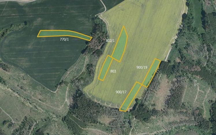 Prodej pole, Hořice, 58969 m2