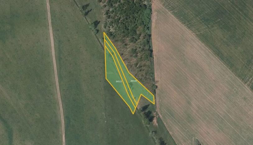 Prodej pole, Čistá u Horek, 16194 m2