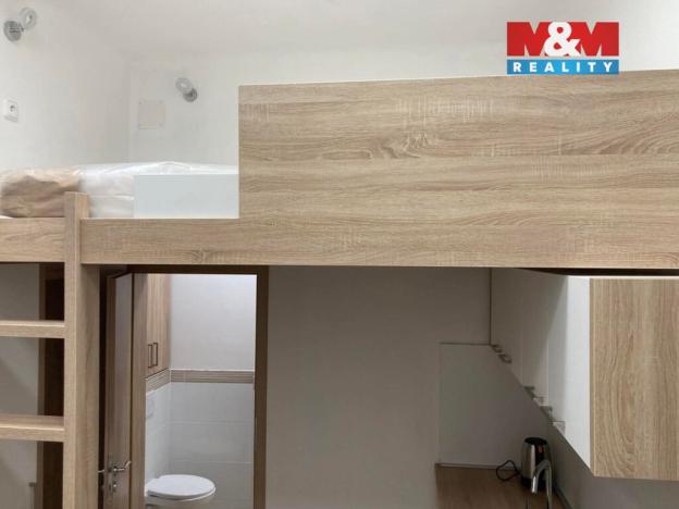 Prodej bytu 1+kk, Opava - Předměstí, Alšova, 20 m2