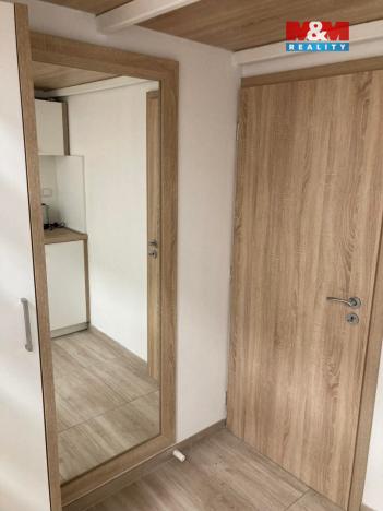 Prodej bytu 1+kk, Opava - Předměstí, Alšova, 20 m2