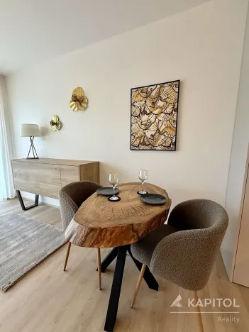 Pronájem bytu 1+kk, Brno, Bystrcká, 30 m2