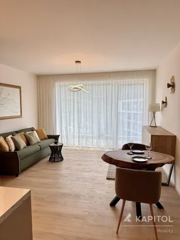 Pronájem bytu 1+kk, Brno, Bystrcká, 30 m2