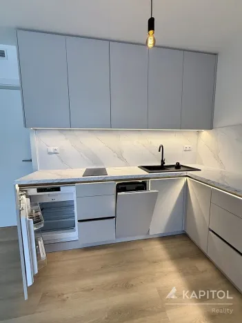 Pronájem bytu 1+kk, Brno, Bystrcká, 30 m2
