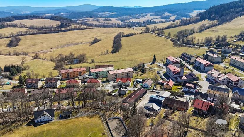 Prodej bytu 1+1, Hartmanice, 39 m2