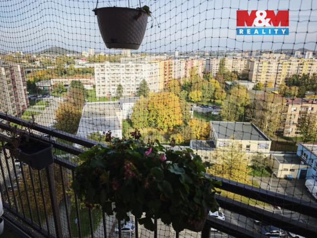 Pronájem bytu 1+kk, Ostrava - Moravská Ostrava, Lechowiczova, 29 m2