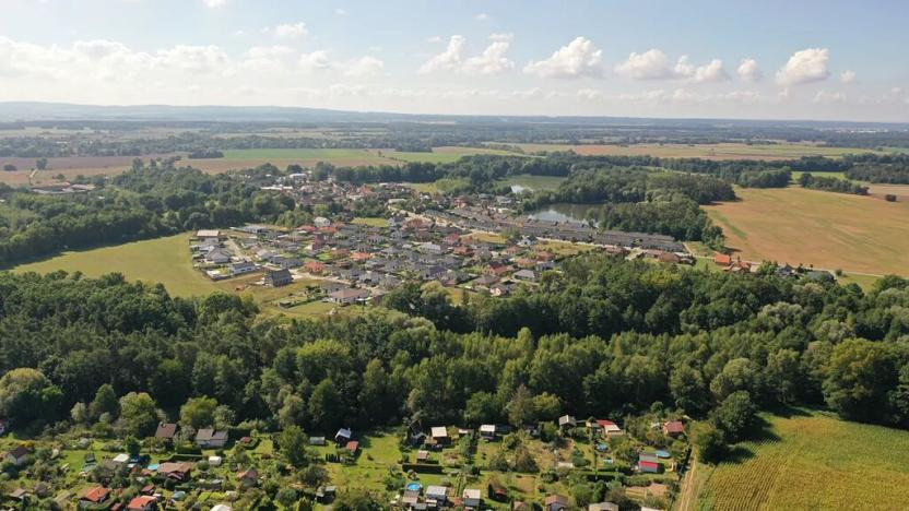 Prodej pozemku, Lázně Bohdaneč, Pod Břízami, 8173 m2