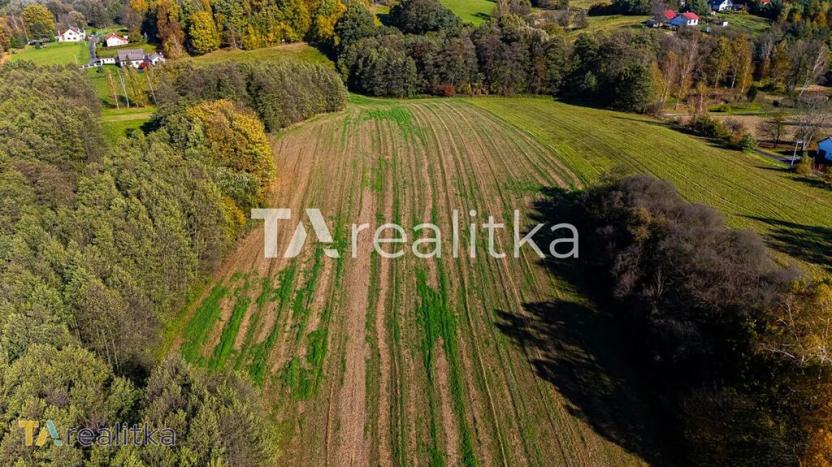 Prodej pole, Dětmarovice, 53698 m2