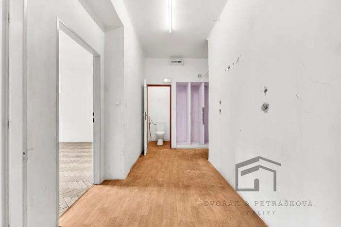 Prodej bytu 1+1, Praha - Nusle, Družstevní, 50 m2