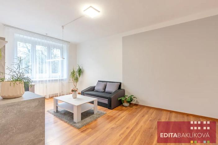 Prodej bytu 1+1, Olomouc, Dr. Milady Horákové, 39 m2