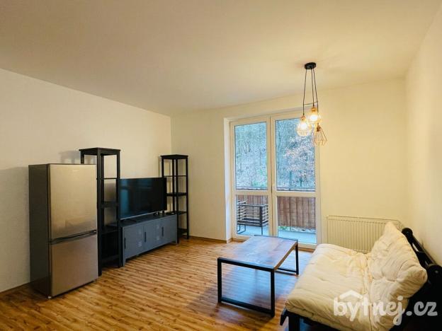 Pronájem bytu 2+kk, Zastávka, Havířská, 58 m2