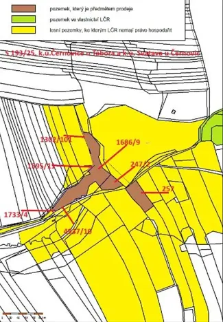 Prodej lesa, Černovice, 10978 m2