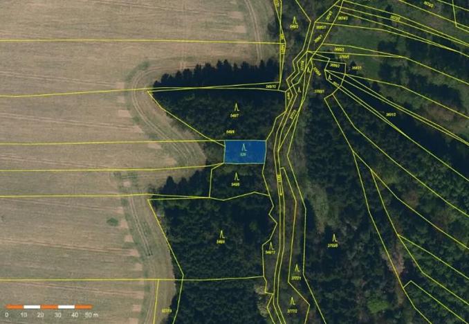 Prodej lesa, Žirovnice, 325 m2