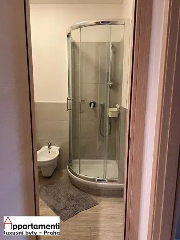 Pronájem bytu 2+kk, Praha - Nusle, Mečislavova, 41 m2