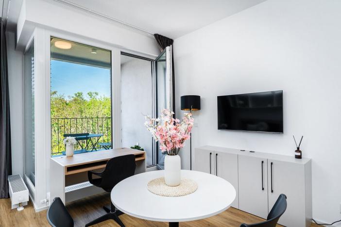 Pronájem bytu 1+kk, Praha - Vysočany, Odkolkova, 42 m2