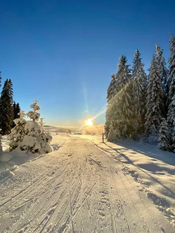 Prodej rodinného domu, Kvilda, 408 m2