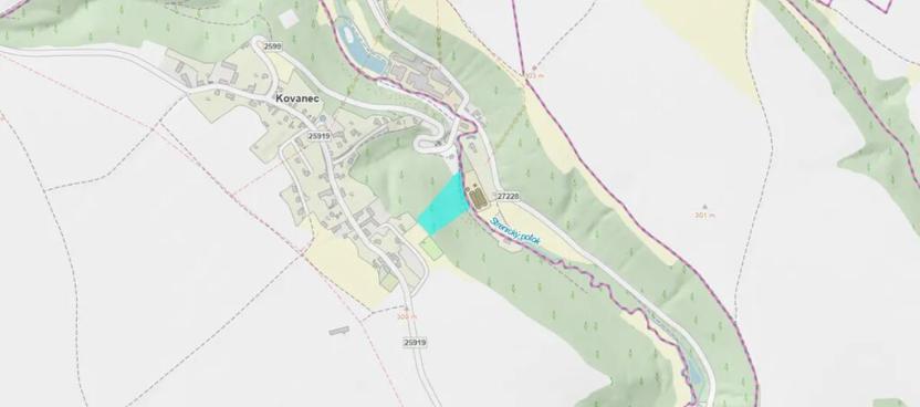Dražba lesa, Kovanec, 12031 m2