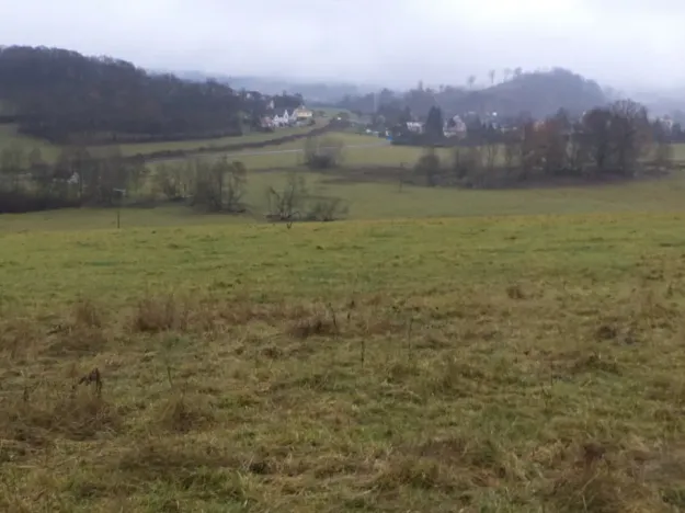 Dražba pole, Lovečkovice, 21494 m2